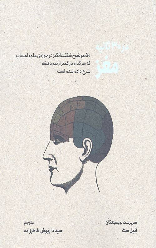 مغز در 30 ثانیه