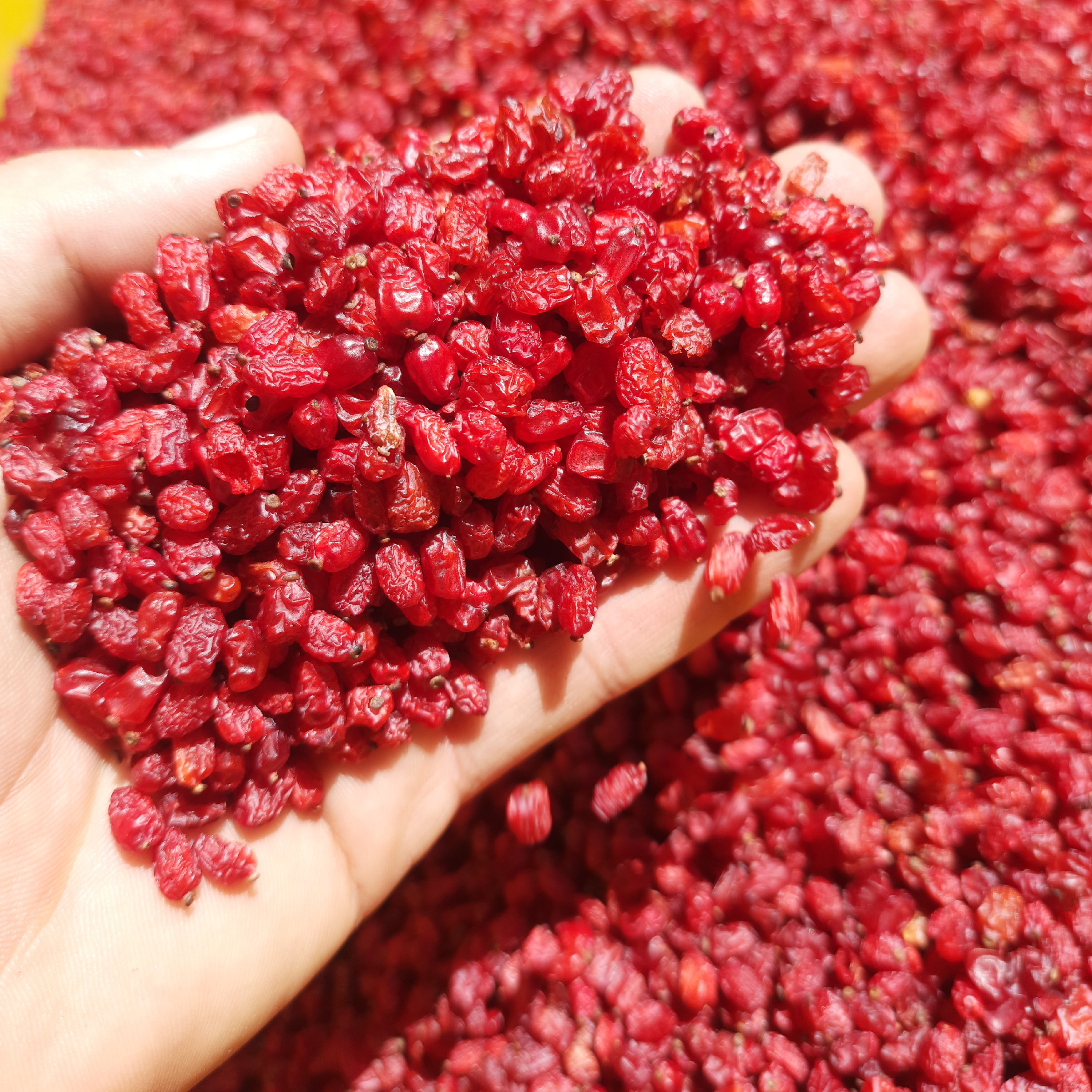 زرشک پفکی درجه یک قائنات 250 گرم