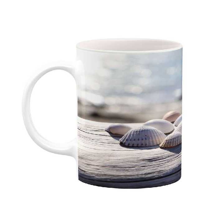 ماگ کاکتی طرح صدف مدل mgs16722