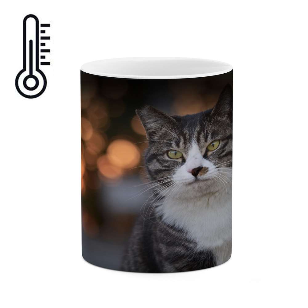 ماگ حرارتی کاکتی طرح گربه مدل mgh16230