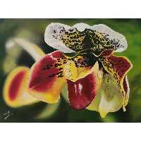 تابلو نقاشی رنگ روغن طرح گل میمون کد 04