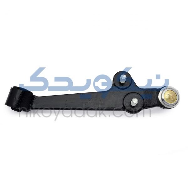طبق سمت راست تیبا ساینا کوئیک و ریو امیرنیا