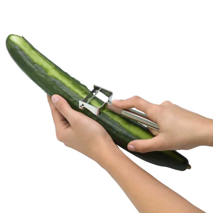 پوست کن دبلیو ام اف مدل PROFI PLUS