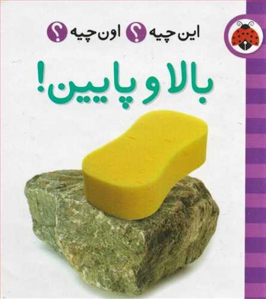این چیه؟اون چیه؟ (بالا و پایین) - کتابفروشی کوچه کتاب