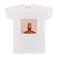 تی شرت بچگانه پرمانه طرح عصر یخبندان کد pmt.1492