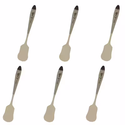 قاشق بستنی خوری کد FR23 بسته 6 عددی