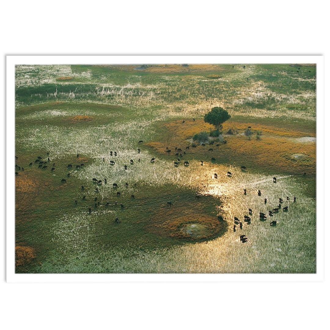 تابلو بکلیت طرح نقاشی طبیعت مدل W-S1433