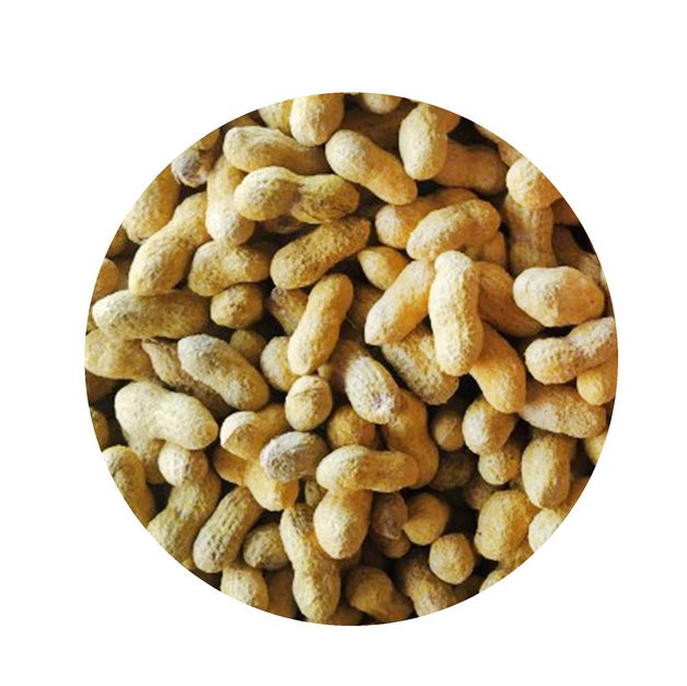 بادام زمینی غلاف دار نمکی  یک کیلو گرم  (خوش طعم و تازه با کیفیت و درجه یک)