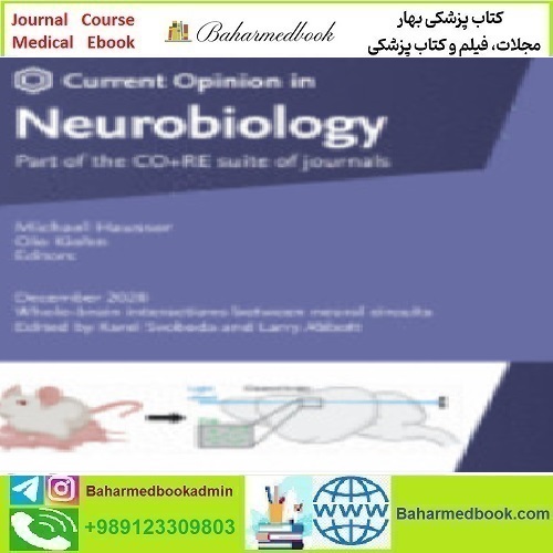 Current Opinion in Neurobiology Volume 60 to 65 2020