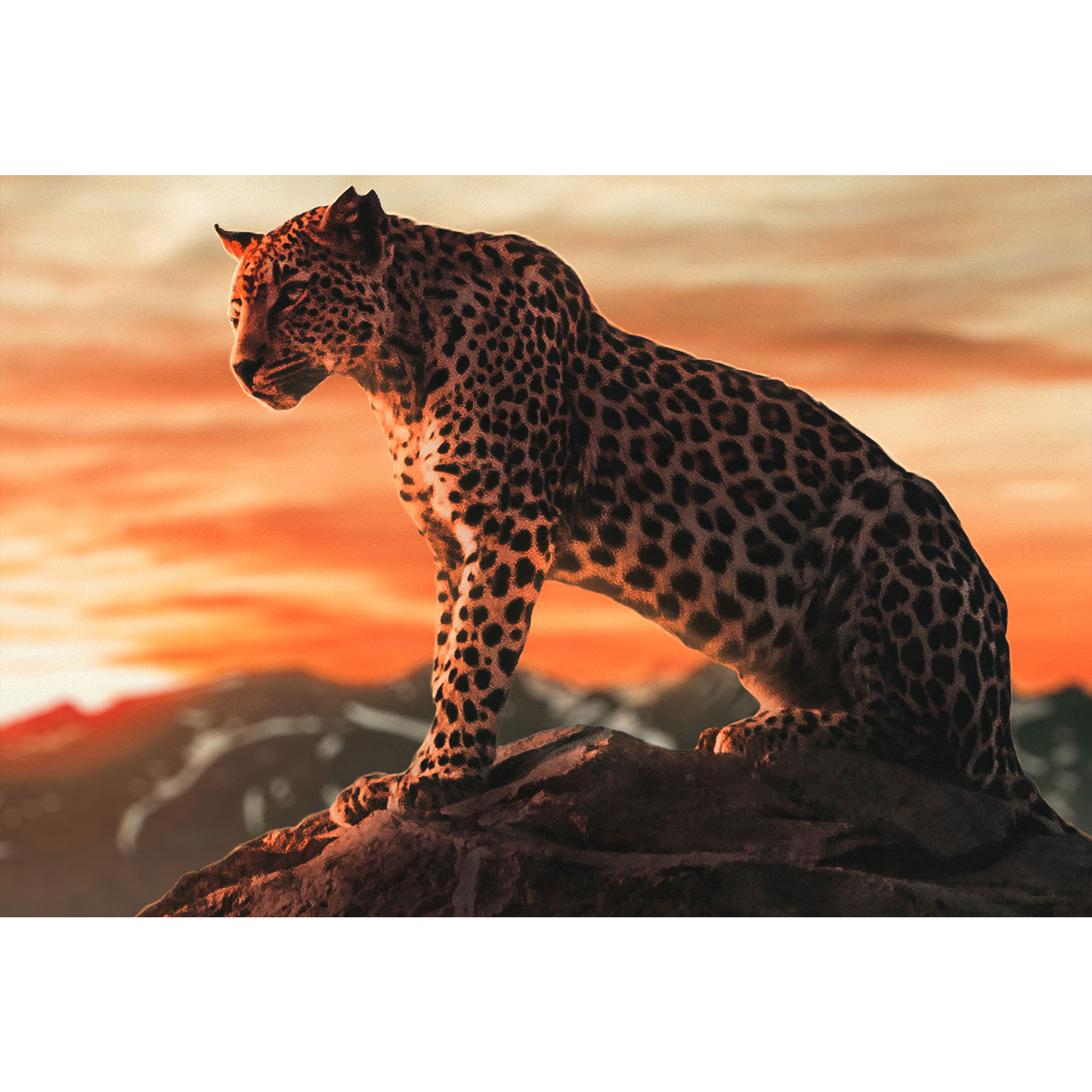 تابلو شاسی طرح یوز پلنگ چیتا و غروب آفتاب مدل T1514