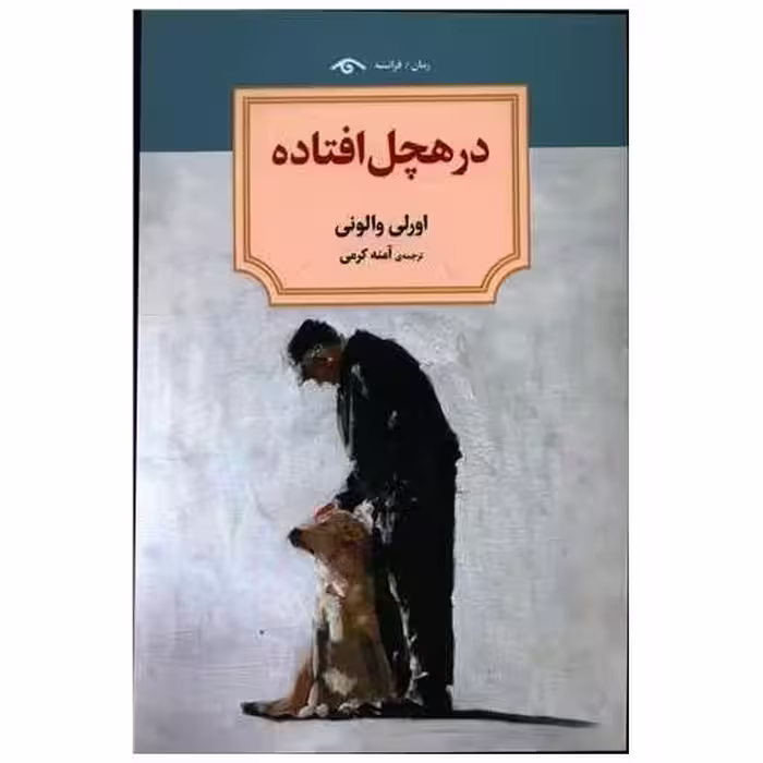 کتاب در هچل افتاده (دیدآور) اثر اورلی والونی