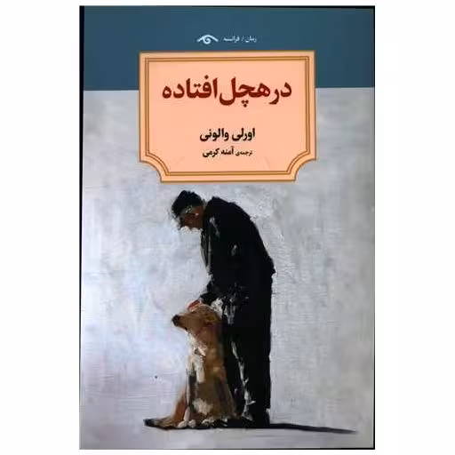 کتاب در هچل افتاده (دیدآور) اثر اورلی والونی