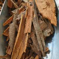 دارچین قلم - 500 گرم