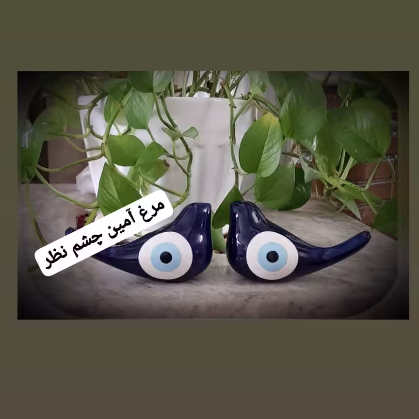 مرغ آمین چشم نظر 