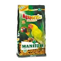 غذا ایتالیایی پاراکیت افریقایی  و عروس هلندی مانیتوبا مدل agapornis وزن 1 کیلوگرم