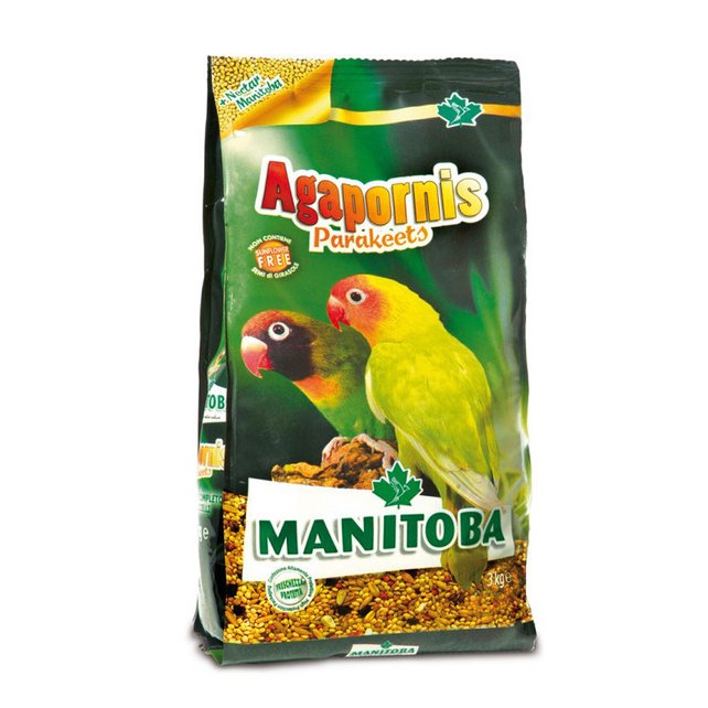 غذا ایتالیایی پاراکیت افریقایی  و عروس هلندی مانیتوبا مدل agapornis وزن 1 کیلوگرم