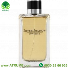 عطر ادکلن دیویدف سیلور شادو 100 میل مردانه