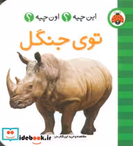 قیمت و خرید کتاب توی جنگل | ایده بوک