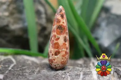 کافی بین جاسپر