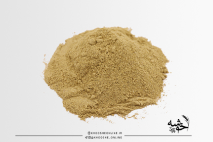 زنجبیل 100 گرمی