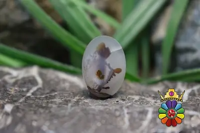 عقیق شجر  یمن