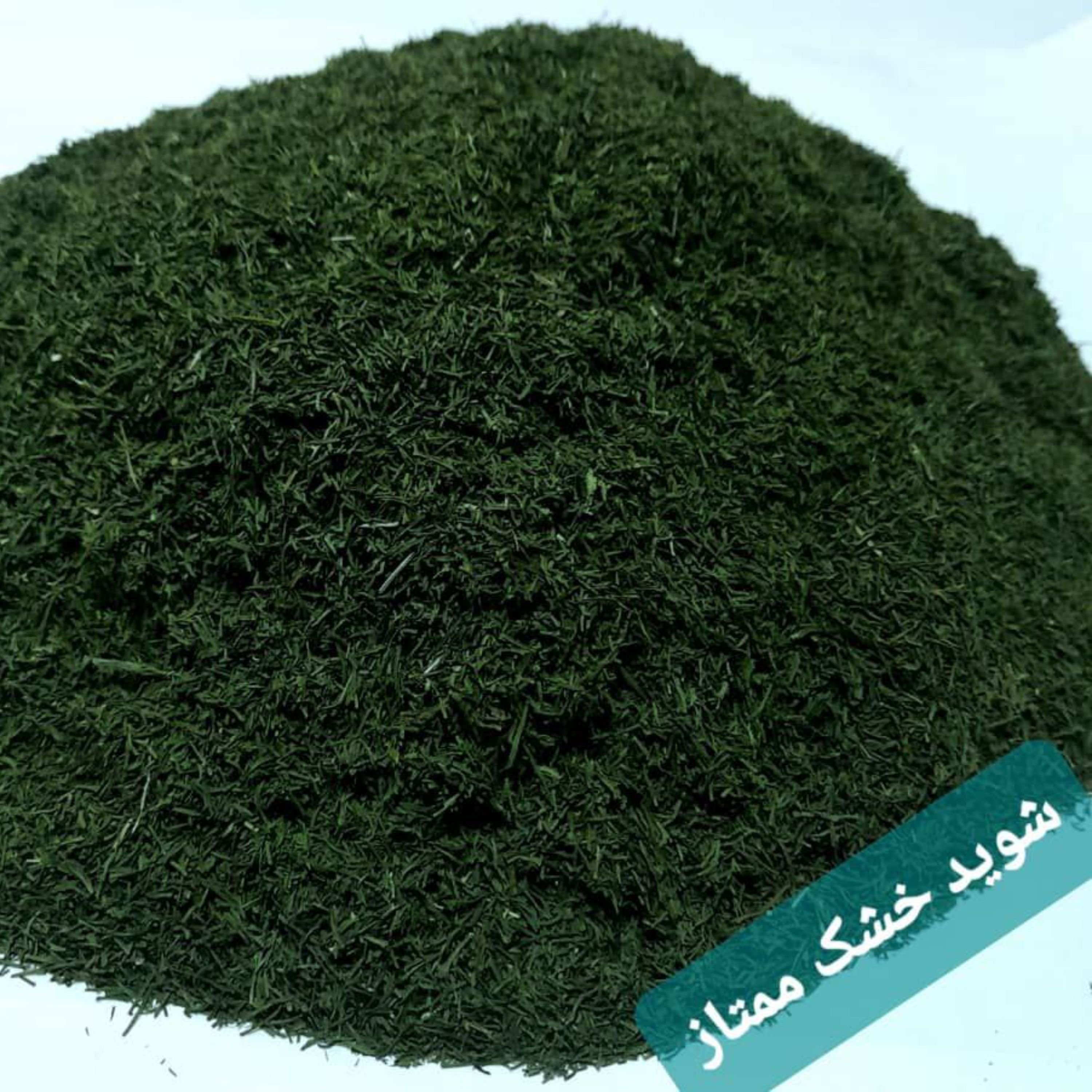 شوید خشک خانگی کاملا سبز و معطر 500 گرمی 