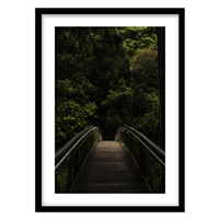 قیمت و خرید تابلو دکوراتیو مدل عکاسی منظره جنگلی کد 0910