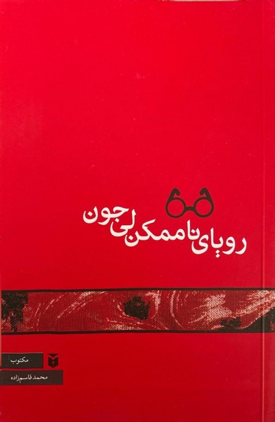 رویای ناممکن لی جون - کتابفروشی کوچه کتاب