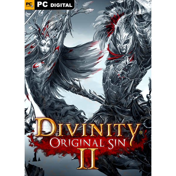 بازی کامپیوتر Divinity Original Sin 2 Definitive Edition