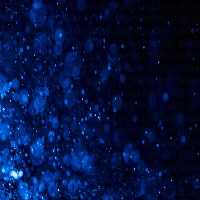 خرید و دانلود عکس پس زمینه بوکه آبی تیره درخشان | پیک فاکس | Pic Fox