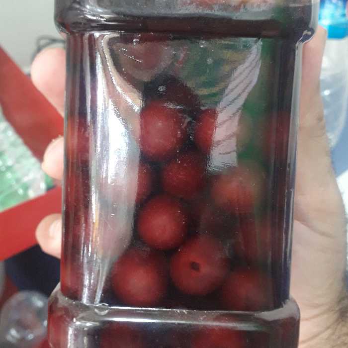 ترشی البالو