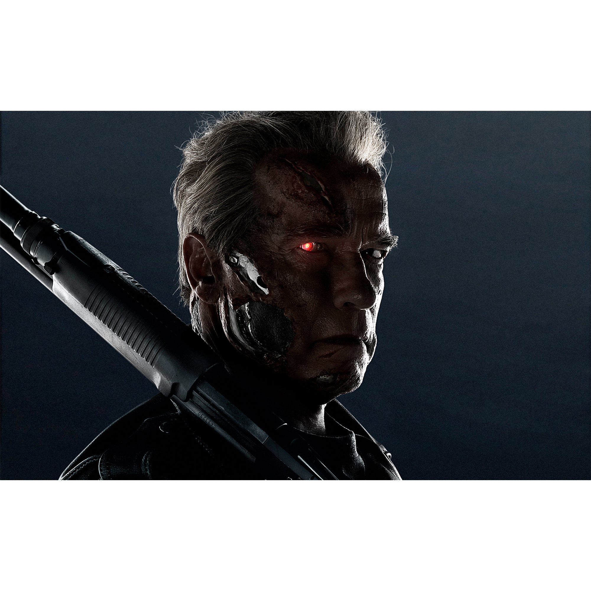 تابلو شاسی مدل ارنولد کد 05