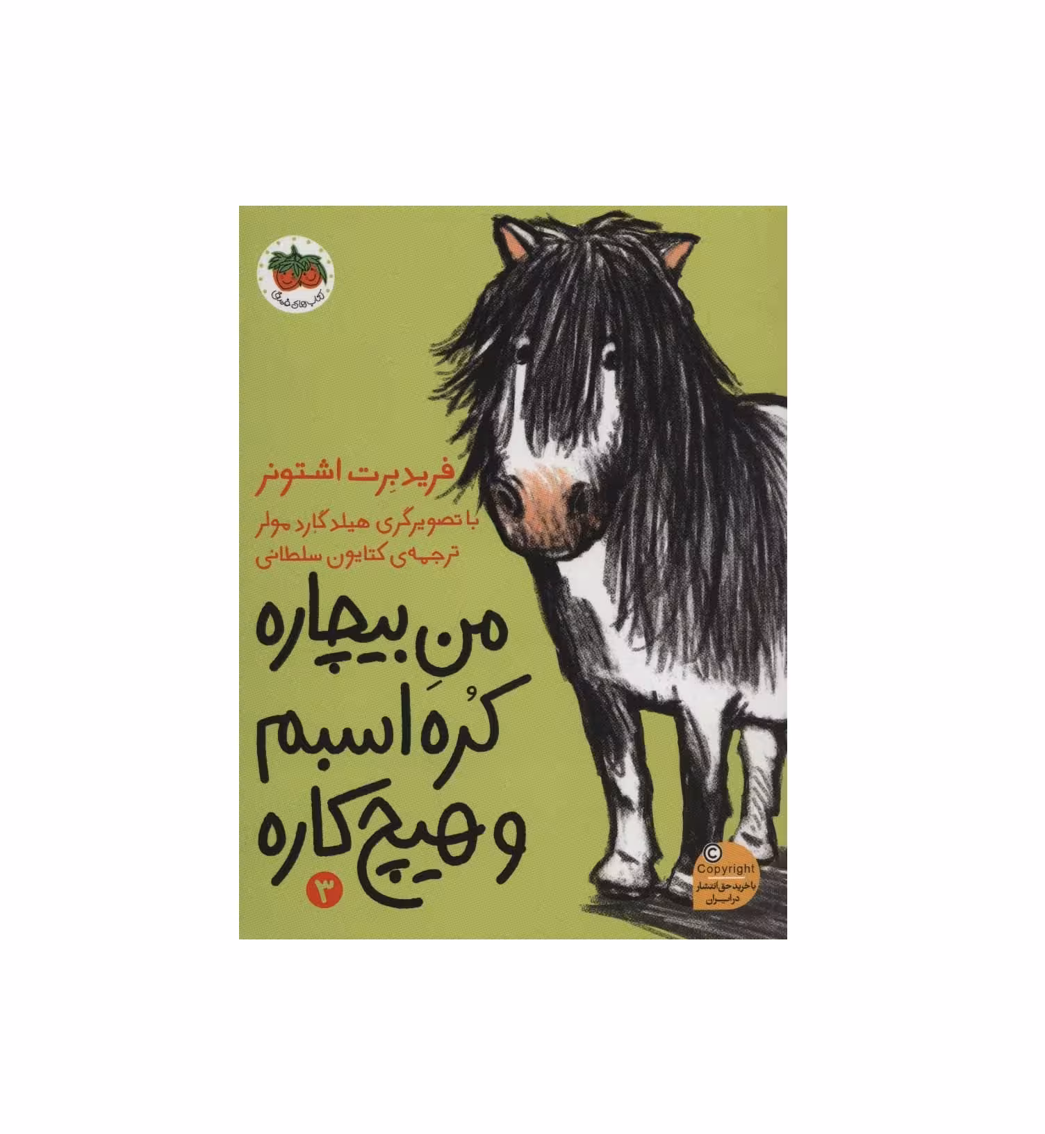 کتاب من بیچاره 3 (کره اسبم و هیچ کاره)