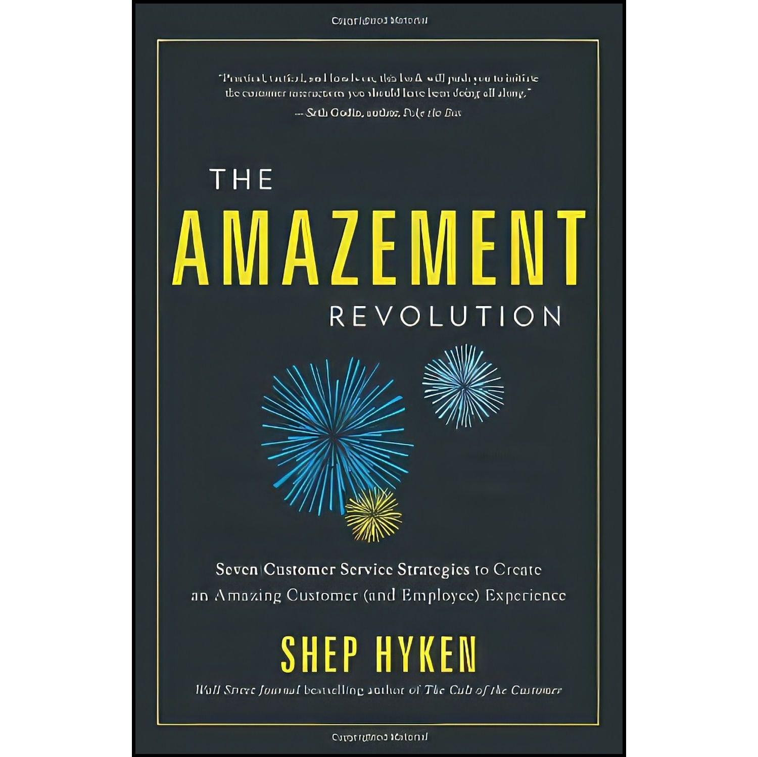 کتاب زبان اصلی The Amazement Revolution اثر Shep Hyken