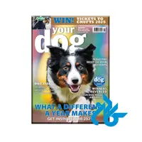 مجله Your Dog - January 2025 ( انگلیسی ) - خرید کتاب زبان انتشارات کادن