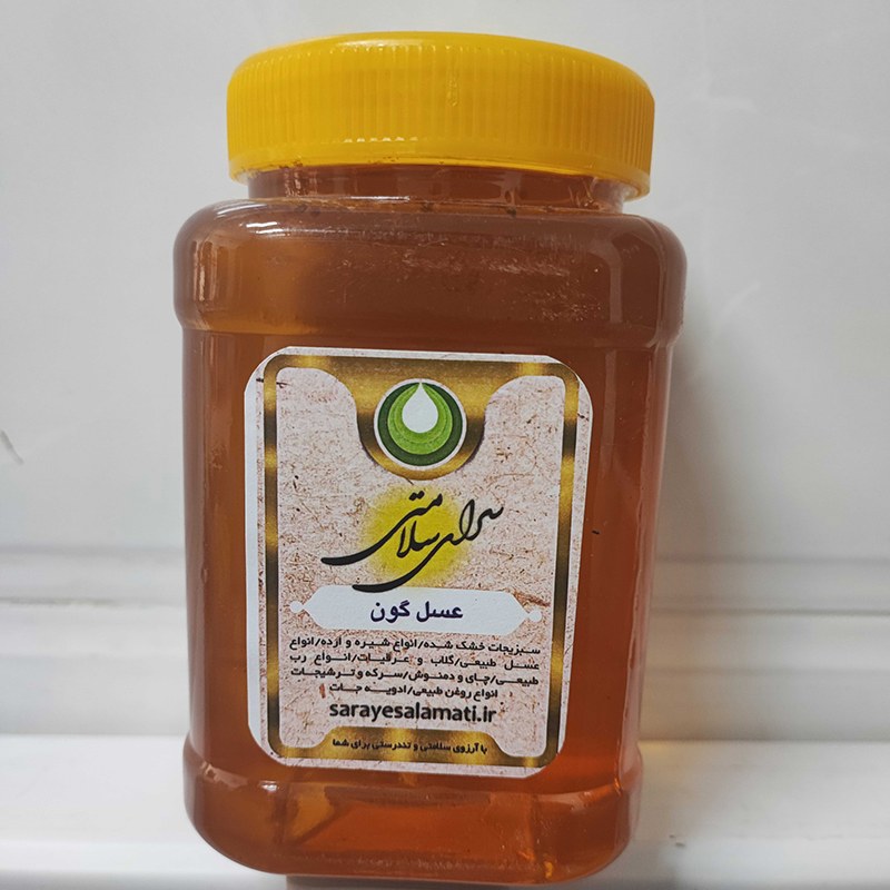 عسل گون درجه یک (یک کیلوگرمی)