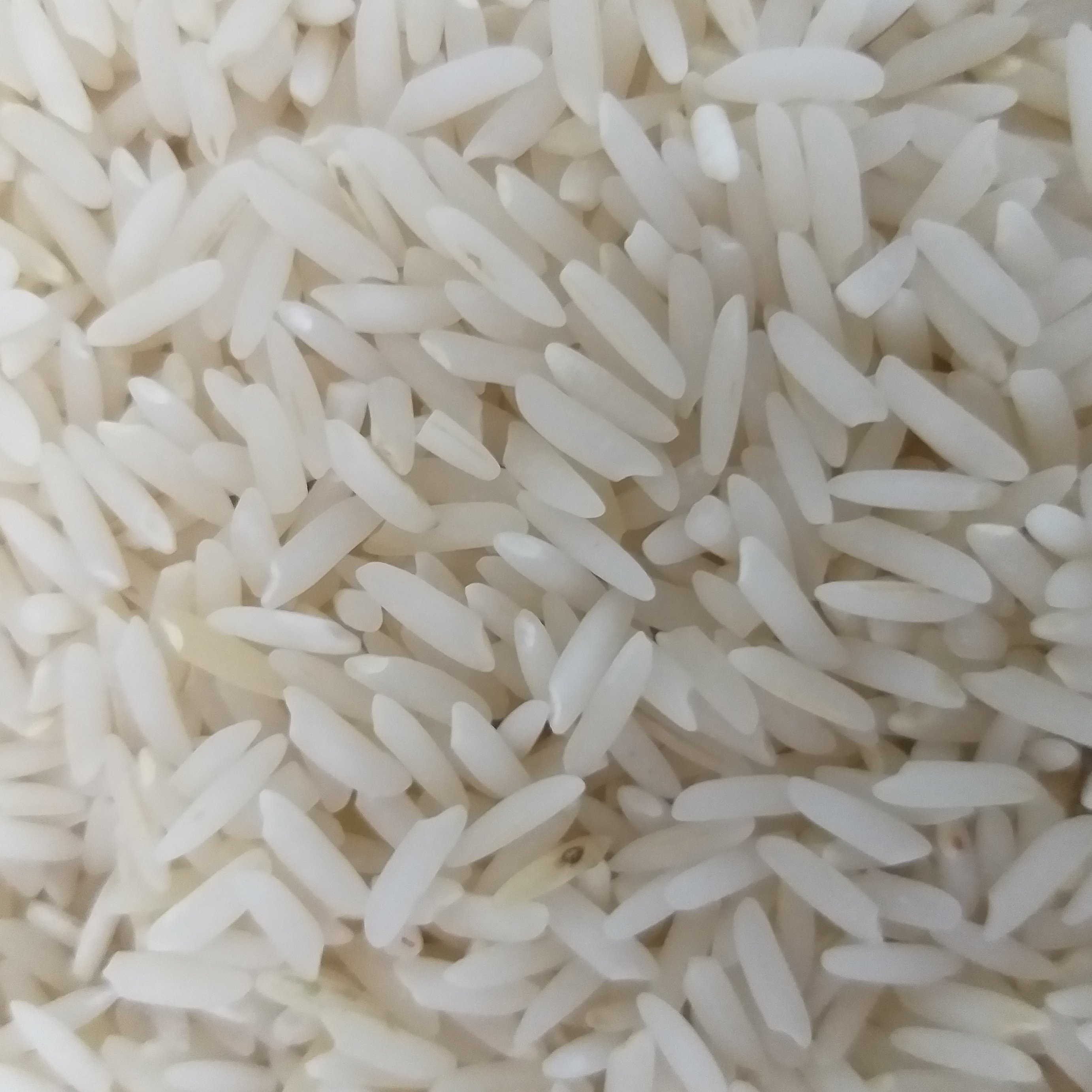 برنج طارم هاشمی