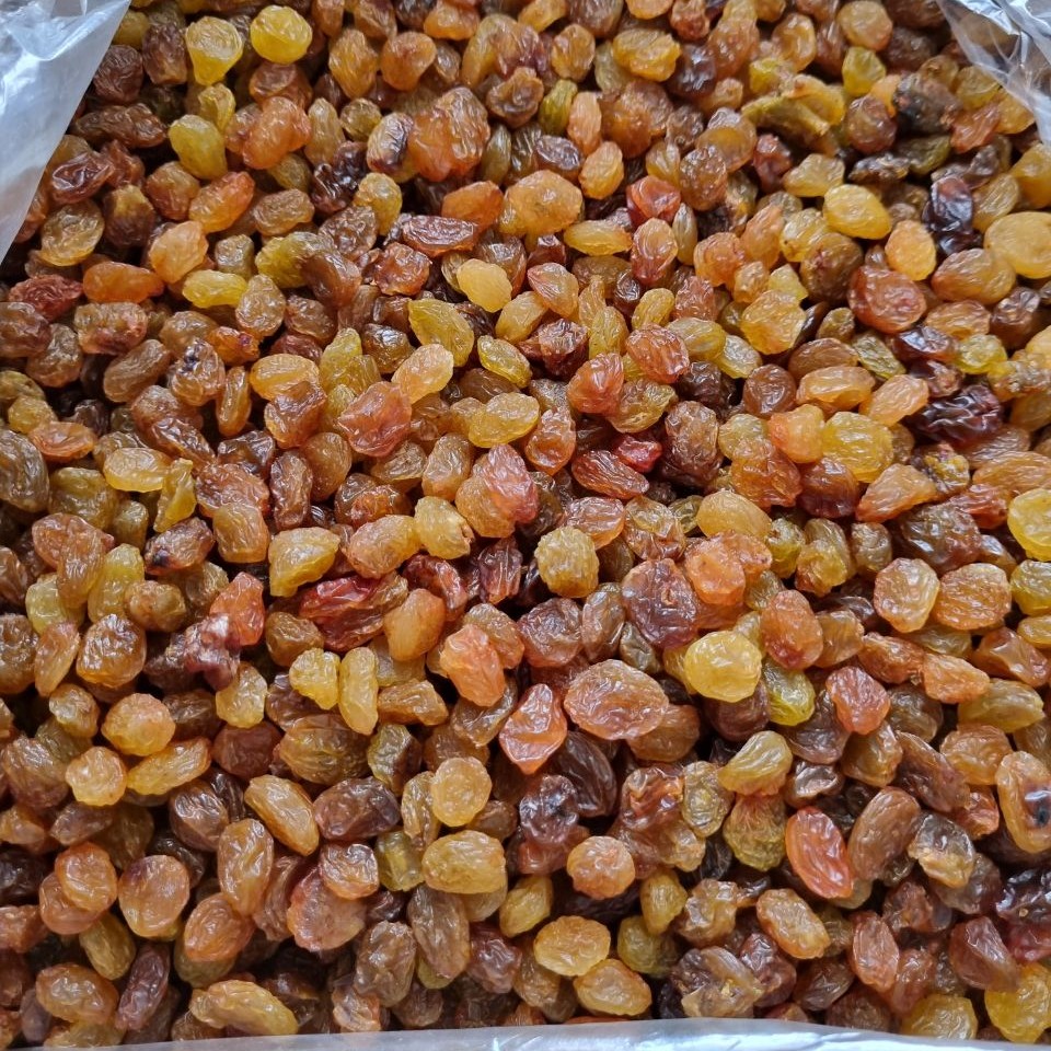 کشمش پلویی یک کیلویی