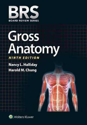 [PDF] دانلود کتاب Brs Gross Anatomy, 9th ed, 2019