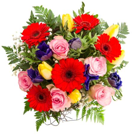 خرید و دانلود عکس Flower-Part-3 کد 17816 | پیک فاکس | Pic Fox