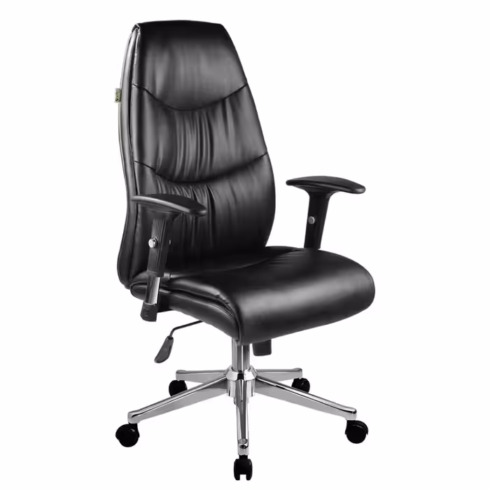 صندلی کارشناسی S 6120 راحتیران