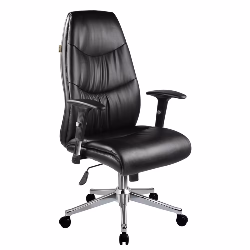 صندلی کارشناسی S 6120 راحتیران