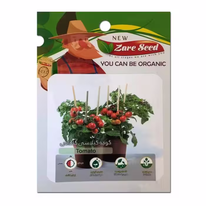بذر گوجه گیلاسی گلدانی/ قیمت + خرید
