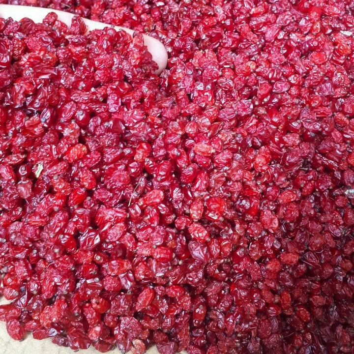 زرشک پفکی درجه یک بیرجند(بسته 500 گرمی)