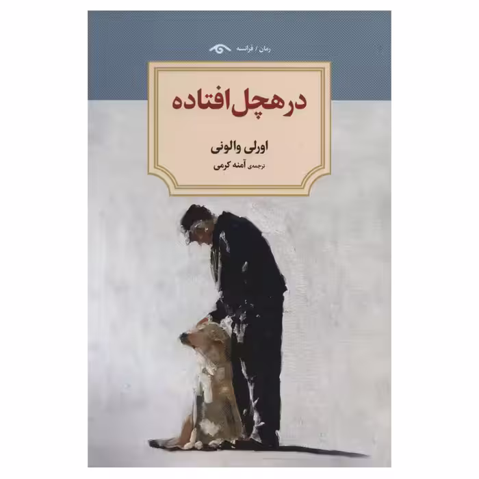 کتاب در هچل افتاده اثر اورلی والونی انتشارات دیدآور
