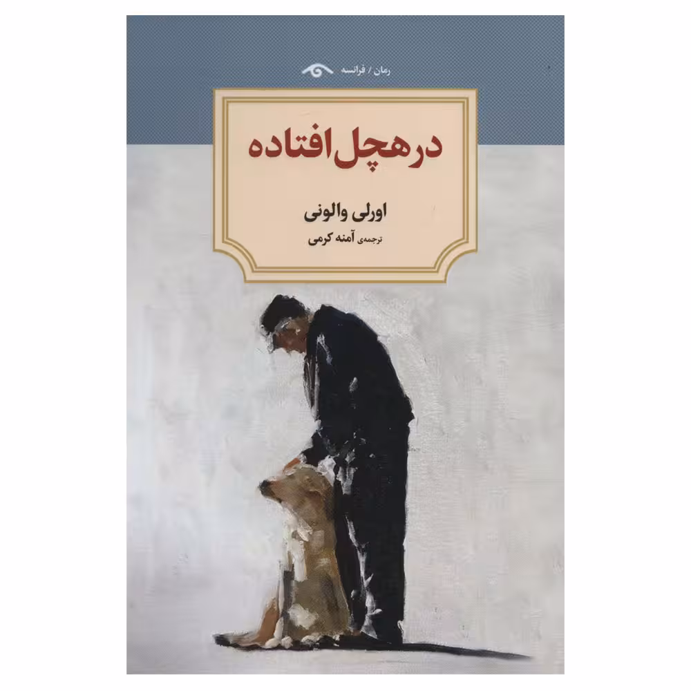 کتاب در هچل افتاده اثر اورلی والونی انتشارات دیدآور