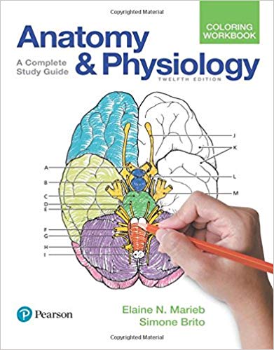 󾕇 دانلود کتاب Anatomy And Physiology Coloring Workbook - A Complete Study Guide, 12th ed, 2018 - دانلود کتاب های دانشگاهی