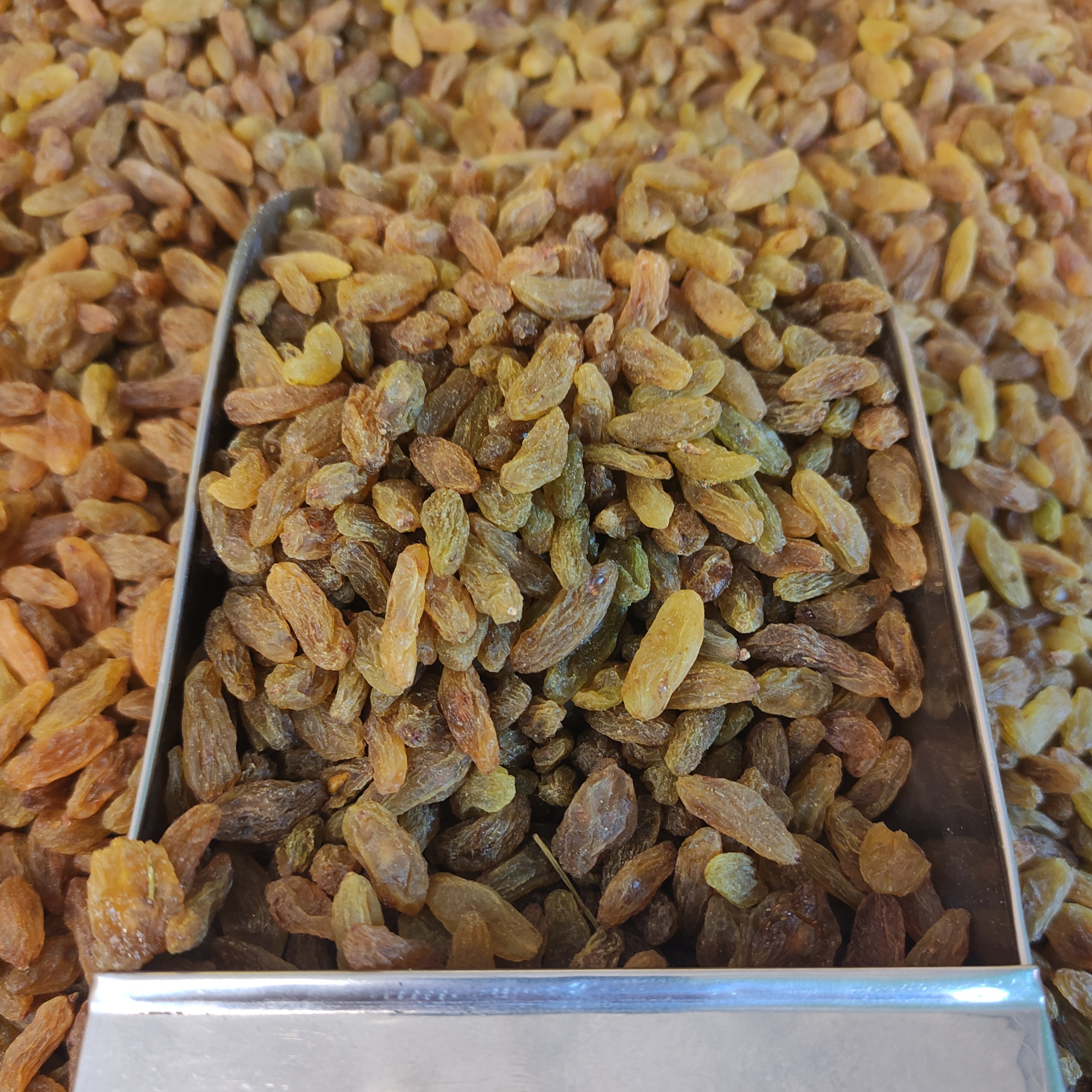 کشمش سبز اعلا