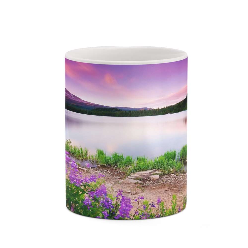 ماگ کاکتی طرح منظره مدل mgh18303