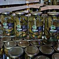 خیارشور فرانسوی(No1 , 1k)